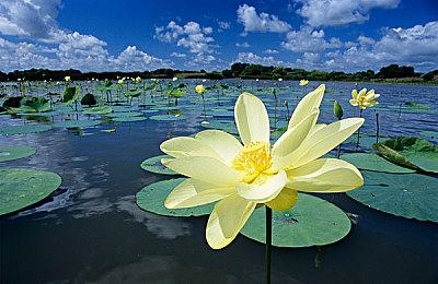 模拟经营游戏《酒店装修大师》主机发售日预告 3月12日上线