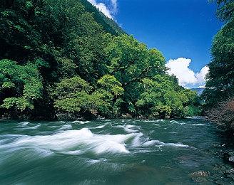 育碧《赛道狂飙》主机版将于5月15日正式发售